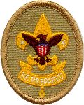 First Class Scout Badge