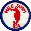 Mile Swim BSA Award