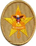 Star Scout Badge