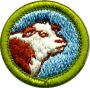 Animal Science Merit Badge