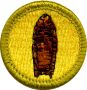 Archaeology Merit Badge