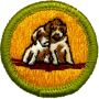 Dog Care Merit Badge