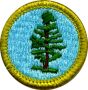 Forestry Merit Badge