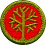 Genealogy Merit Badge