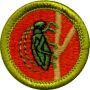 Insect Study Merit Badge