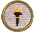 Public Health Merit Badge