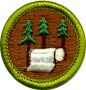 Pulp and Paper Merit Badge