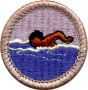 Swimming Merit Badge