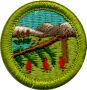 Wilderness Survival Merit Badge